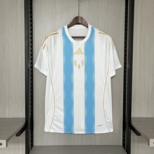 2024/25 Argentinian blue and white