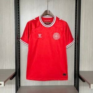 2024/25 Denmark home