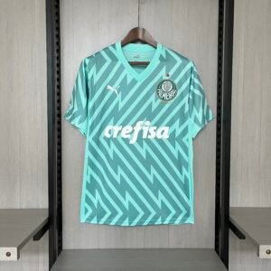 2024/25 Palmeiras Goleiro Verde
