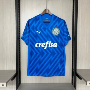 2024/25 Palmeiras Goalkeeper Blue