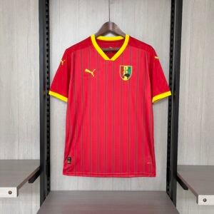 2024/25 Guinea home