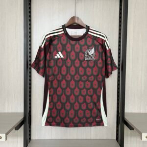 2024/25 Mexico Home