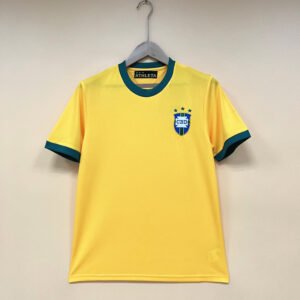 Retro Brazilian 1970 Home