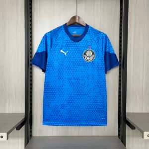 2024/25 Palmeiras training blue jersey