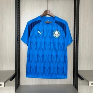 2024/25 Palmeiras pre-match blue jersey