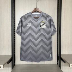 2024/25 Santos Grey Jersey